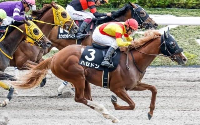 【ユニコーンS見どころ】3連勝中のハセドンら好メンバーが激突