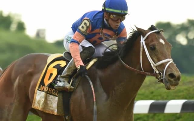 【米・ベルモントS】モードニゴールが3馬身差で米国クラシック三冠最終戦を快勝/海外競馬レース結果