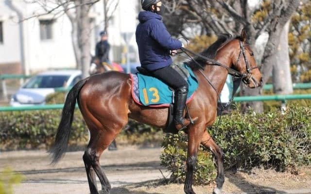 ビターグラッセが福永祐一騎手でデビュー 近親に活躍馬多数/関東馬メイクデビュー情報
