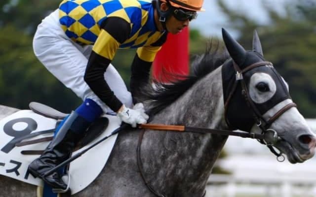 【先週のJRA抹消馬】芦毛馬ゴースト、良血馬フランツ、竹之下騎手ダービー初出走のヴィントなど