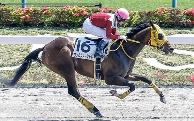 【AI予想・ユニコーンS】経験No.1「あの人気薄」が混戦を断つ!? 実力伯仲の3歳ダート路線は今年も荒れ模様