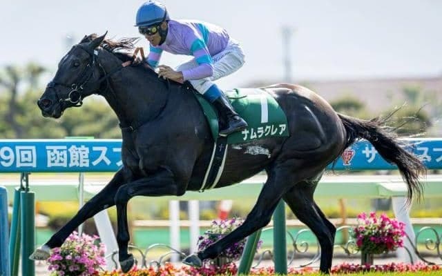 スプリンターとして非凡な資質を示したナムラクレア