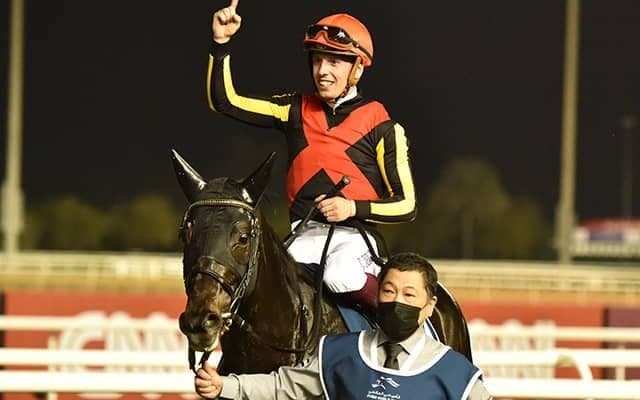 【英G1・プリンスオブウェールズS】出走馬5頭の枠順が確定　日本からはシャフリヤールが参戦