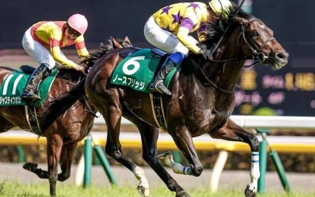 折り合い面に進境を見せれば侮れない存在に…