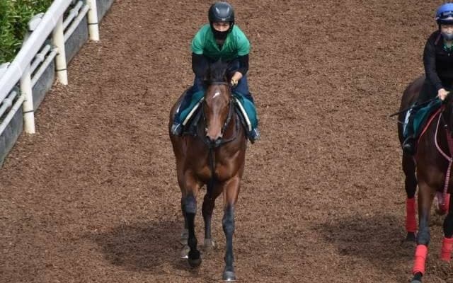 イストロスなど、先週のゲート試験/栗東トレセンニュース