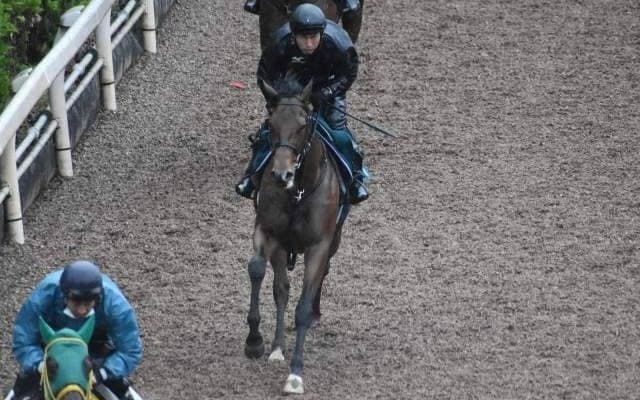 オープンファイアなど、先週の入厩情報/栗東トレセンニュース