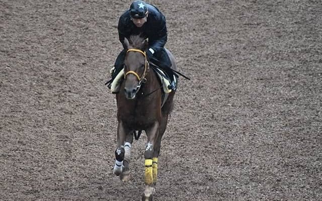 【ユニコーンS想定騎手】ジュタロウは武豊騎手、リメイクは福永祐一騎手