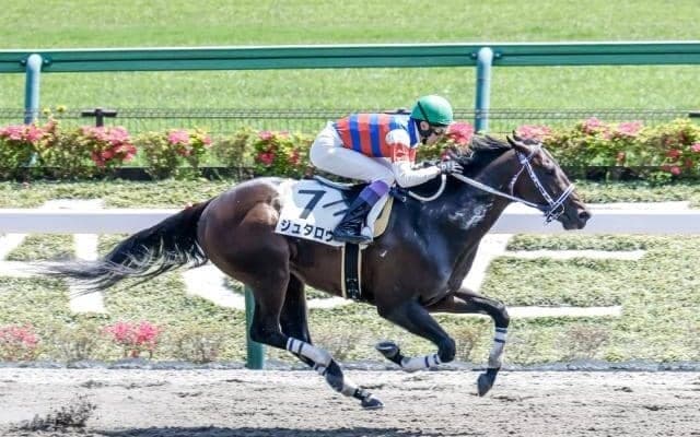 【ユニコーンS予想オッズ】ジュタロウが予想1番人気