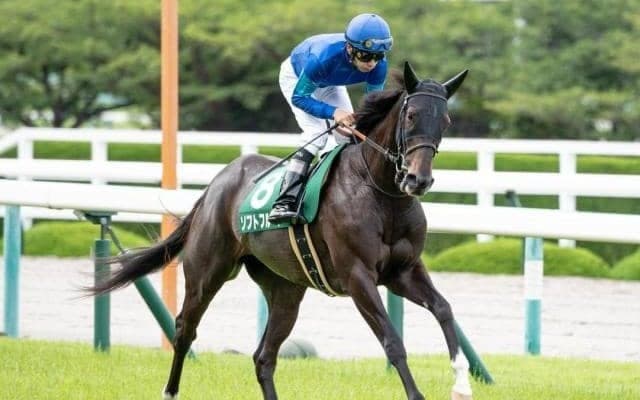 【マーメイドS予想オッズ】ソフトフルートが予想1番人気