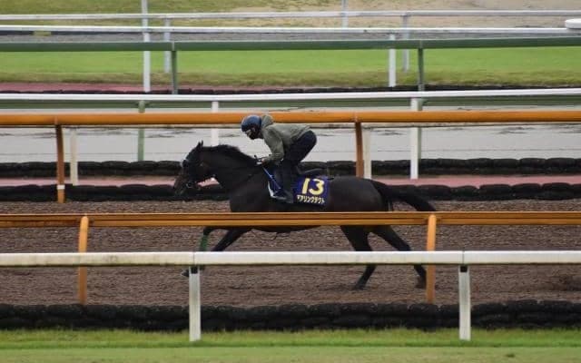 デアリングタクト、宝塚記念1週前追い切り速報/栗東トレセンニュース