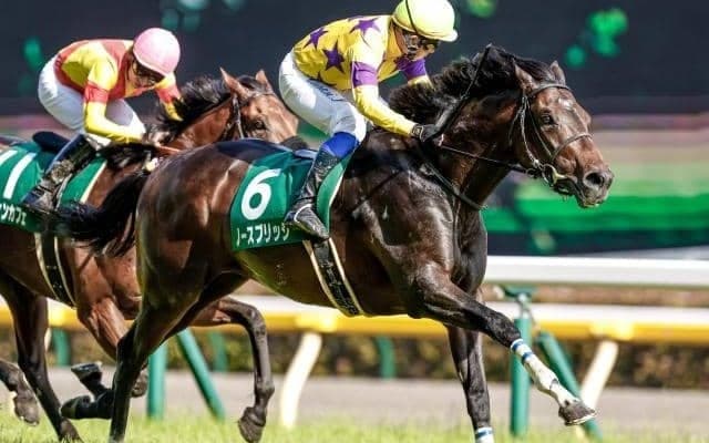 【ユニコーンS予想】今回AIが指名した注目馬は○○な存在…？