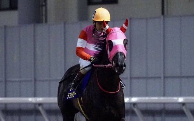 【関東オークス】山崎誠「あそこまでいったら勝ちたかった」ラブパイローは2着