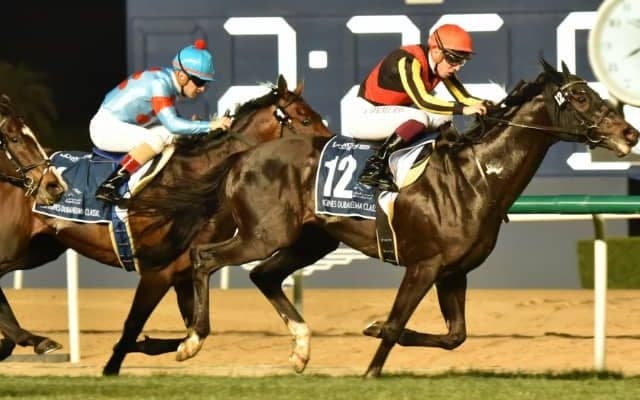 【プリンスオブウェールズSオッズ】日本では5連勝中ベイブリッジが1番人気、僅差の2番人気にシャフリヤール