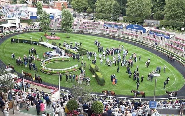 【英・プリンスオブウェールズS結果】ステートオブレストが逃げ切りG1・4勝目、シャフリヤールは4着