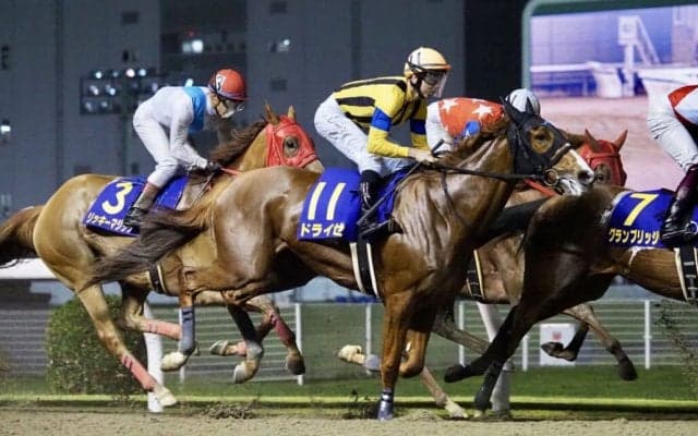 【関東オークス】レーン「これから期待できる」レース後ジョッキーコメント