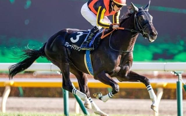 【次走】グレートマジシャンが関越Sで復帰 昨年の日本ダービー以来となる約1年ぶりの実戦