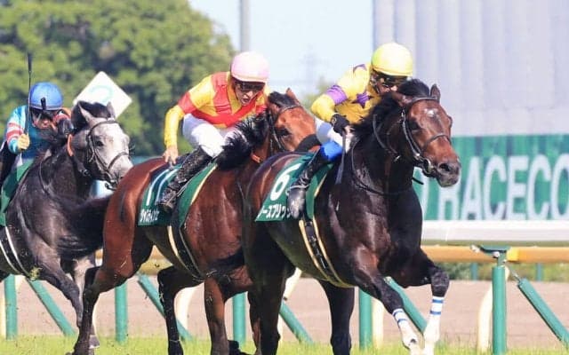 【エプソムC】ノースブリッジが重賞初制覇