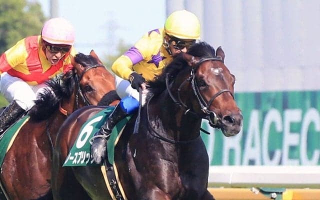 【エプソムC】岩田康「奥が深い馬」ノーズブリッジが重賞初制覇