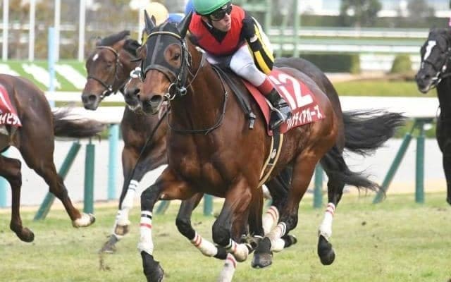 【英G1・プラチナジュビリーS】グレナディアガーズは27頭立ての4番枠