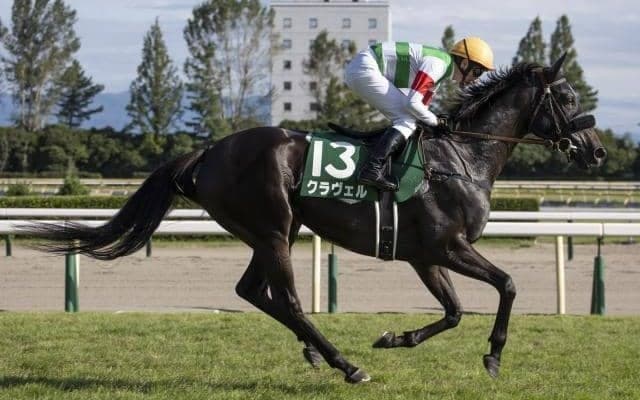 【マーメイドS枠順確定】ソフトフルートは2枠3番、クラヴェルは6枠11番