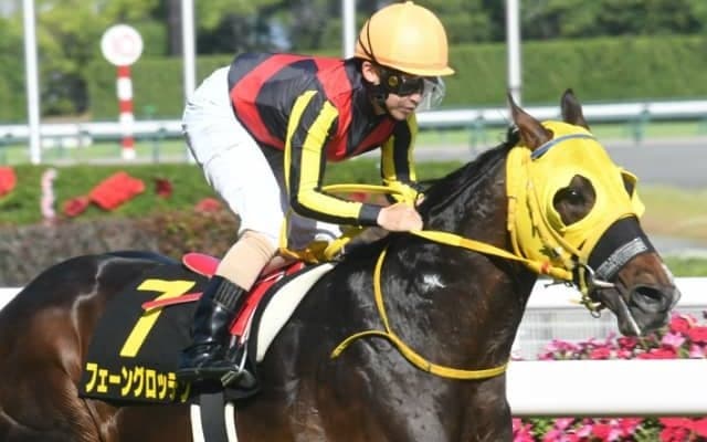 【次走】フェーングロッテンはラジオNIKKEI賞へ　半兄はスプリンターズS覇者ピクシーナイト