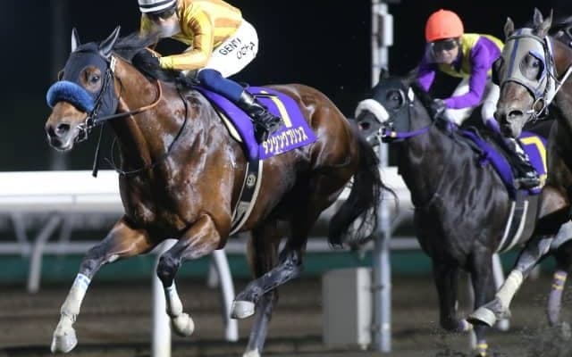 【次走】重賞3連勝中のダンシングプリンスはJBCスプリントを目標にクラスターC出走を視野