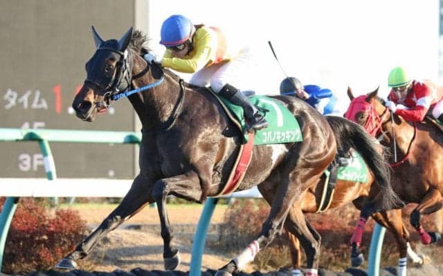 コパノキッキングが競走馬登録抹消