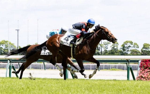 【中京6R】ディープ産駒 タイムオブフライトが大きな不利を跳ね返して初勝利