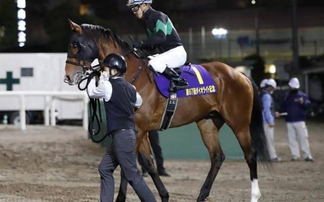 【今日の注目ポイント】東京でスレイプニルS、阪神ではサマーマイル第一弾・米子S