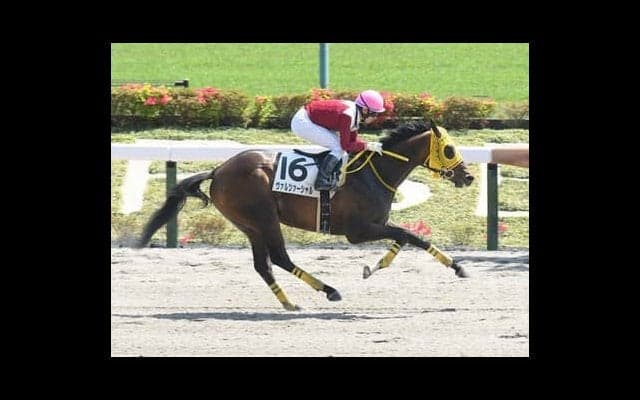 ユニコーンＳは今年も大混戦。過去の激走例から導き出した４頭が好配当の使者となる