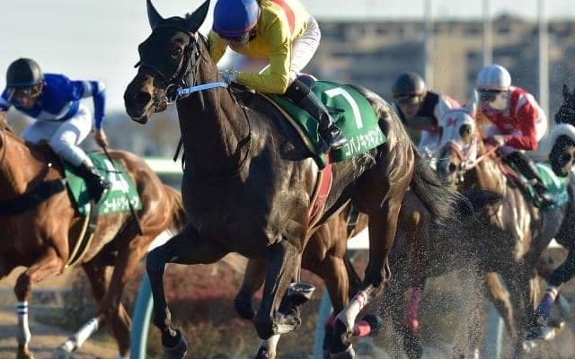 【JRA】コパノキッキングが競走馬登録抹消、今後は乗馬に