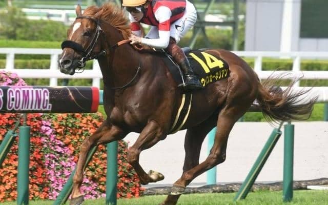 【米子S結果】ウインカーネリアンが押し切ってリステッド競走連勝