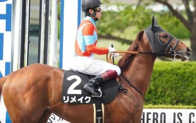 【今日の注目ポイント】ダートの登竜門ユニコーンS、牝馬のハンデ重賞マーメイドSなど