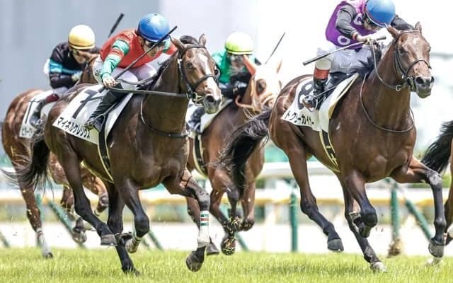 【東京5R新馬戦結果】マイネルケレリウスがV、5・9・16番人気で決着し3連単300万超の大波乱