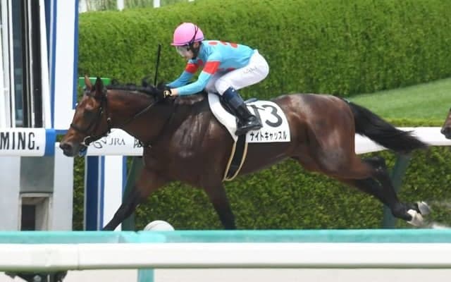 【阪神5R新馬戦結果】シルバーステート産駒ナイトキャッスルが差し切り勝ち