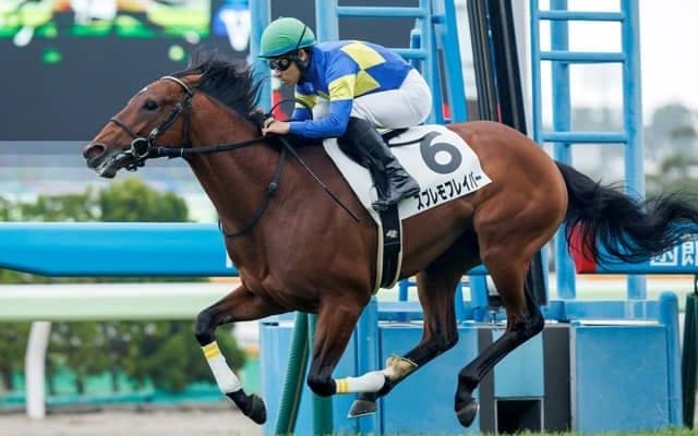 【函館5R新馬戦結果】スプレモフレイバーが危なげなく逃げ切る