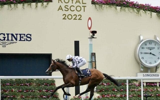 キーファーズ共同所有ブルーム 英ハードウィックSを快勝