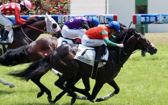【新馬/東京5R】3連単300万超え！マイネルケレリウスがデビューV