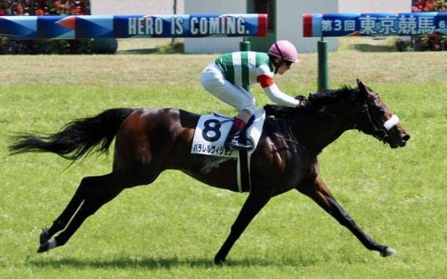 【東京8R】パラレルヴィジョンがデビュー2連勝