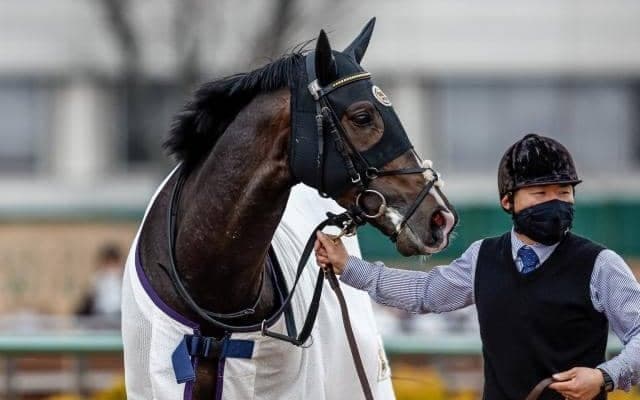 宝塚記念でタイトルホルダー、エフフォーリアらが激突/今週の競馬界の見どころ