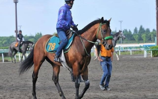 ブラストワンピース全弟ブラストウェーブがデビュー/関東馬メイクデビュー情報