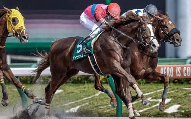 母方にサドラーズウェルズを持つエスポワールシチー産駒は好成績