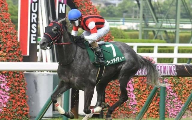 ゴールドシップ産駒は直線の長いコースが合っているように思うが…