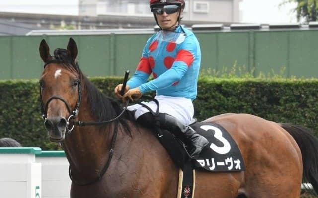 【宝塚記念展望】上半期の総決算、あの馬に期待したい