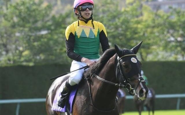 【宝塚記念予想オッズ】タイトルホルダーが予想1番人気