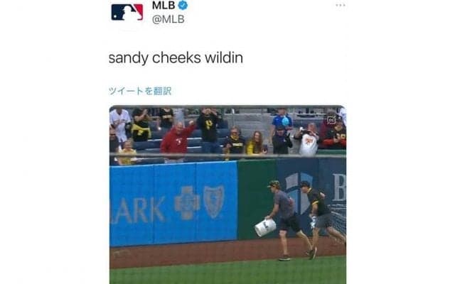 MLB球場に“乱入者”出現　係員3人でも捕まえられず米笑撃「速すぎる」「大慌てだ」