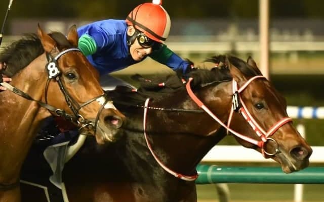 【宝塚記念】パンサラッサ先頭は譲らない 帰国初戦で国内タイトル獲得へ