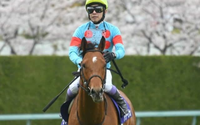 【宝塚記念】アリーヴォ武豊騎手とのコンビでグランプリへ 阪神芝2200mで良績の鞍上とグランプリの頂狙う