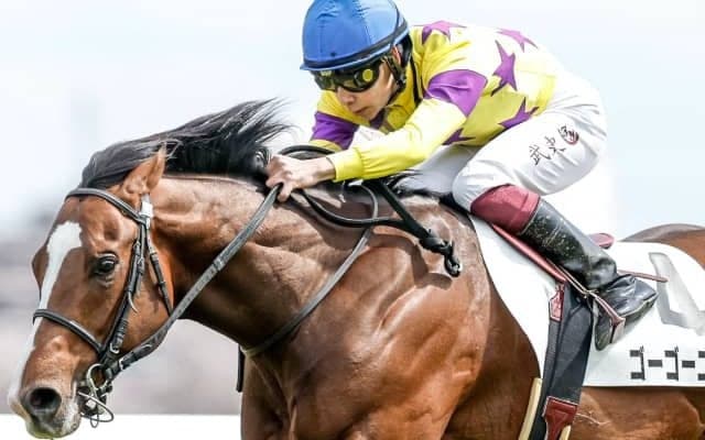 【ラジオNIKKEI賞想定】ホープフルS3着ラーグルフ、弥生賞3着ボーンディスウェイ、デビュー全連対ゴーゴーユタカなど