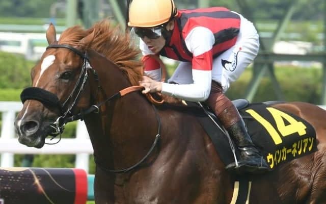 【次走】ウインカーネリアンは関屋記念へ　1年休養から復帰後リステッド2連勝中